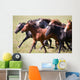 A herd of young horses Wall Mural