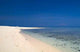 Tropical Beach Wall Decal Design 2