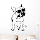 Cool Boy - French Bulldog Wall Decal