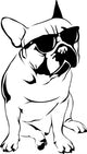 Cool Boy - French Bulldog Wall Decal