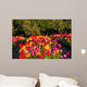 Tulpe Wall Mural