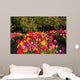 Tulpe Wall Mural
