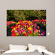Tulpe Wall Mural