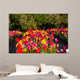 Tulpe Wall Mural