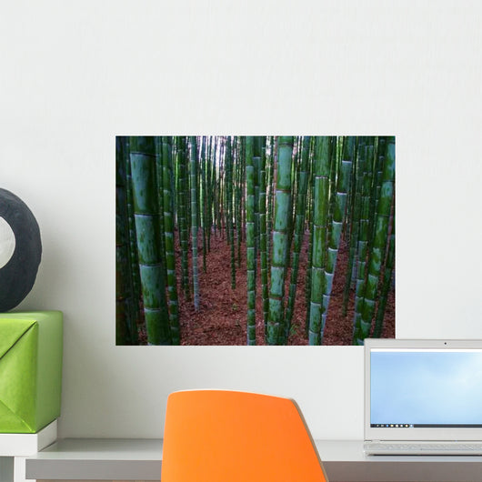 Bamboo Wall Decal