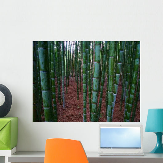 Bamboo Wall Decal