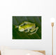 beautiful costa rican reticulated glass frog 5 Wall Mural