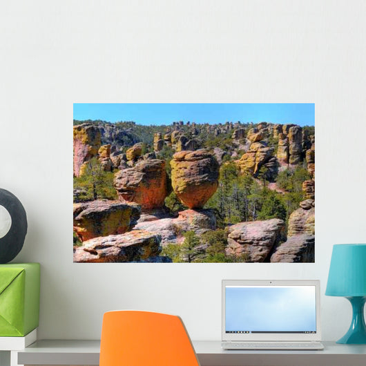 Chiricahua National Monument Wall Decal