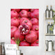 Pomegranates Wall Mural