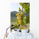 White grape variety Cortese 8 Wall Mural