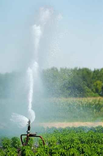Irrigation Spout Field Wall Decal
