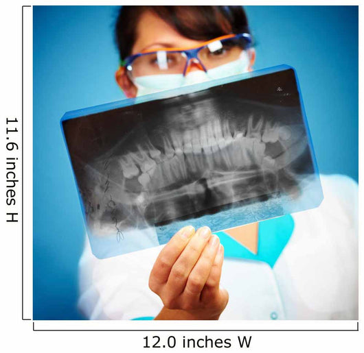 Doctor with Xray