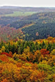 Herbstlandschaft Wall Decal