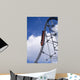 Roller Coaster and Blue Wall Mural