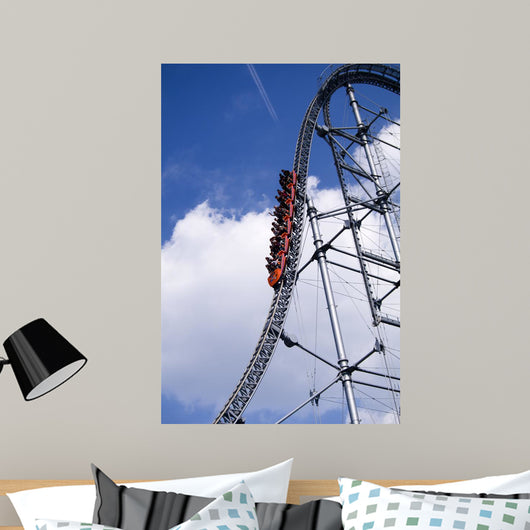 Roller Coaster and Blue Wall Mural