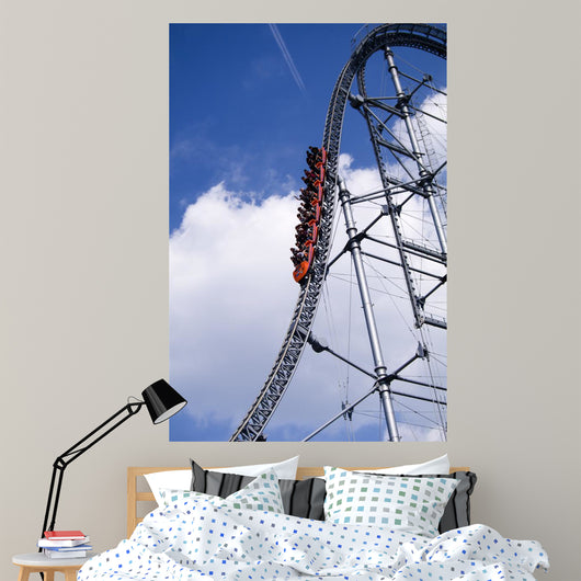 Roller Coaster and Blue Wall Mural