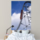 Roller Coaster and Blue Wall Mural