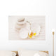 Balance Wall Mural