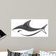 Shark Fish