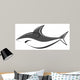 Shark Fish