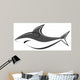 Shark Fish