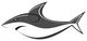 Shark Fish