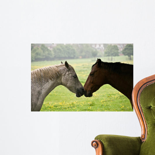 Kissing Horses Wall Mural