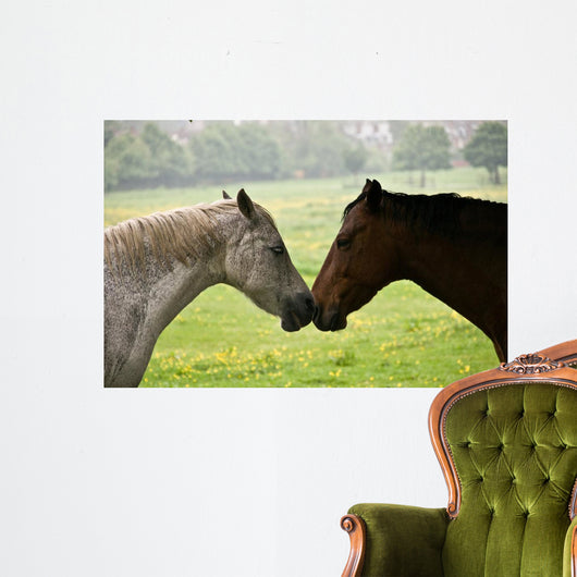 Kissing Horses Wall Mural