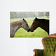Kissing Horses Wall Mural