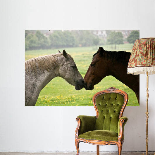 Kissing Horses Wall Mural