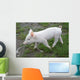 Baby Pig Wall Mural
