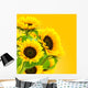 image d'une fleur tournesol, des tournesols sur fond jaune Wall Mural