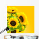 image d'une fleur tournesol, des tournesols sur fond jaune Wall Mural
