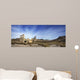 Rhyolite Nevada Wall Mural