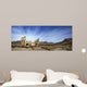 Rhyolite Nevada Wall Mural