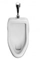 Pissoir Wall Decal