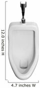 Pissoir Wall Decal