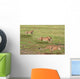 Cheetahs Hunting Wall Mural