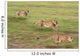 Cheetahs Hunting Wall Mural