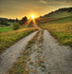 Sunset Wall Mural