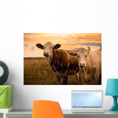 Cows Sunset Wall Decal shown on a wall