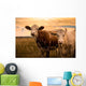 Cows Sunset Wall Decal