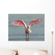 Roseate Spoonbill Close in Wall Mural