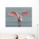 Roseate Spoonbill Close in Wall Mural