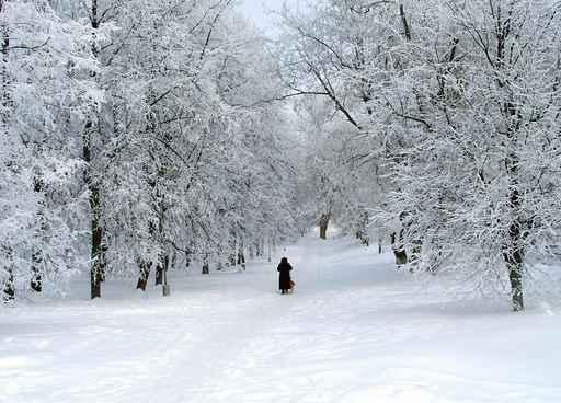 White Winter Wall Decal Design 2