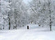 White Winter Wall Decal Design 2