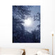 Winter Evening Fantasy Wall Mural