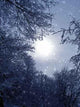 Winter Evening Fantasy Wall Mural