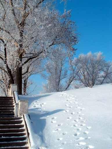 Winter City Wall Mural