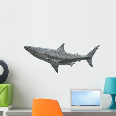 Great White Shark Wall Decal shown on a wall